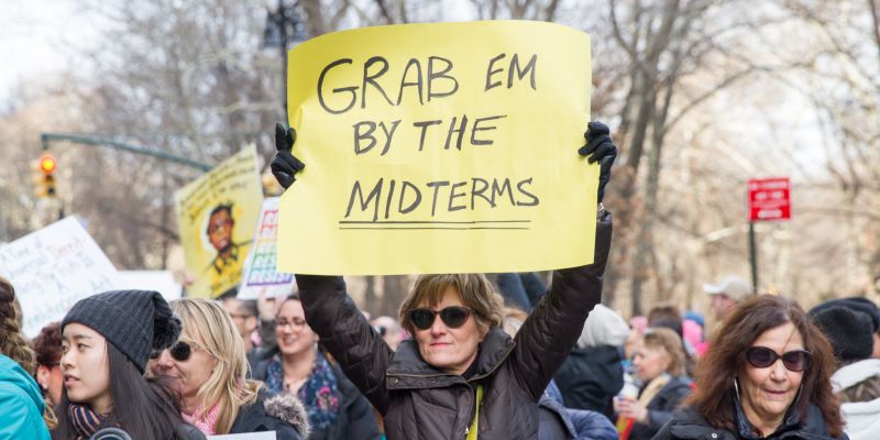 "Grab 'em by the midterms" protest sign