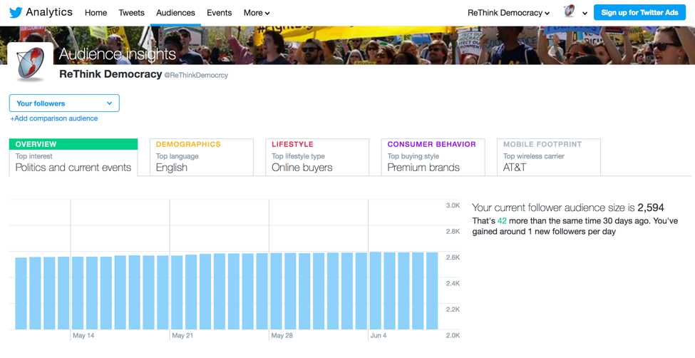 Twitter Ad audience insights.png